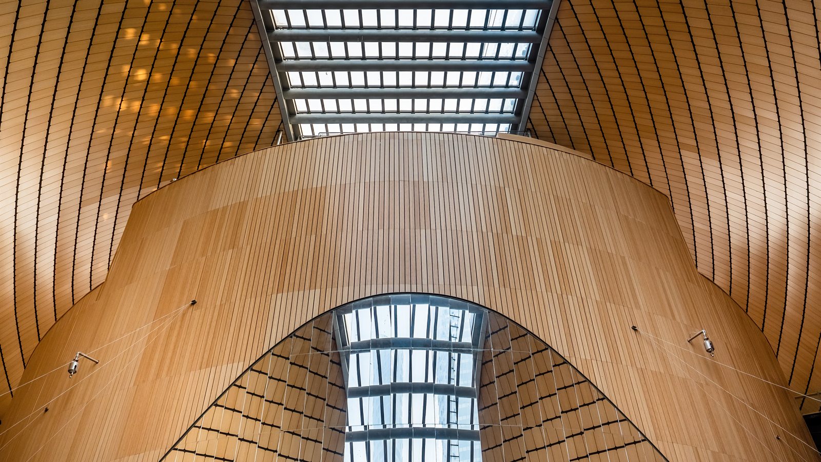 Modern theatre auditorium with tiered seating