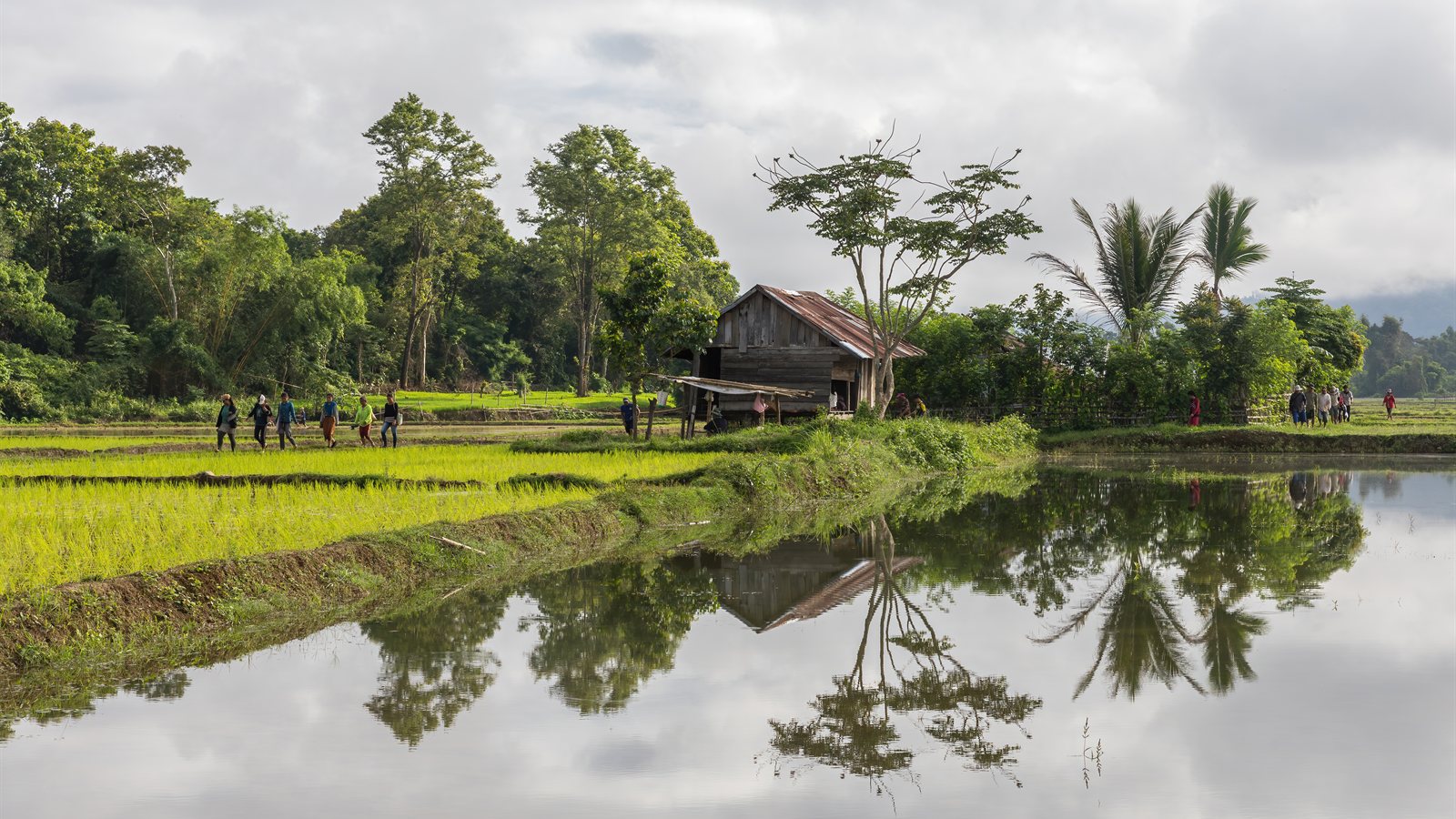 Still water reflecting a wooden hut and trees beside green fields