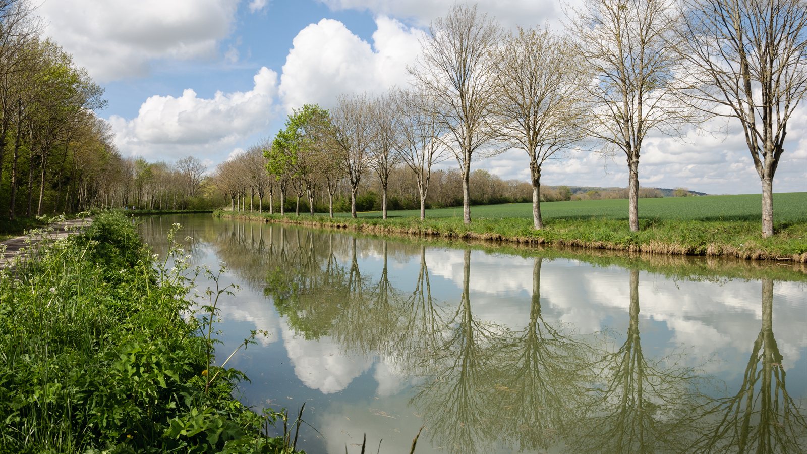 Straight canal running between wooded banks in soft light