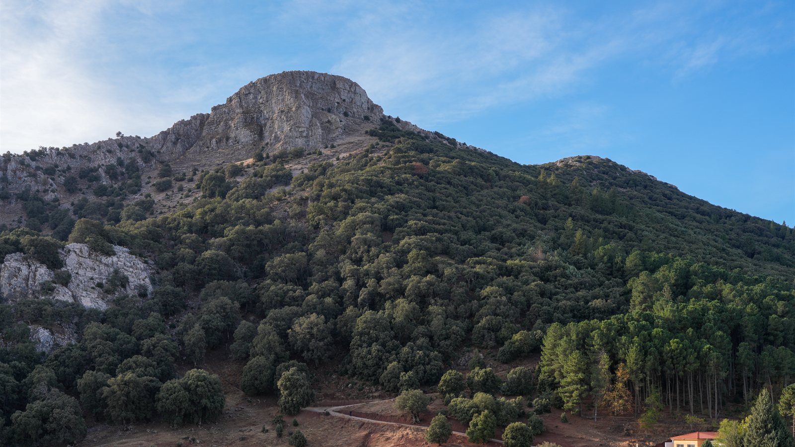 Limestone cliffs above a forested valley