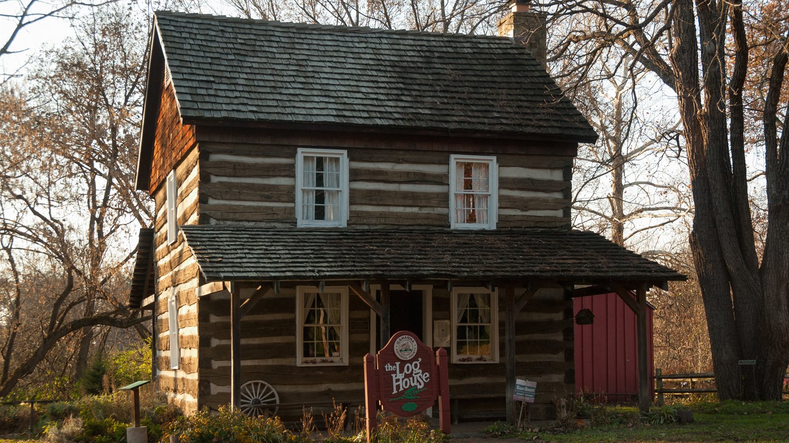 Timber log cabin standing among trees