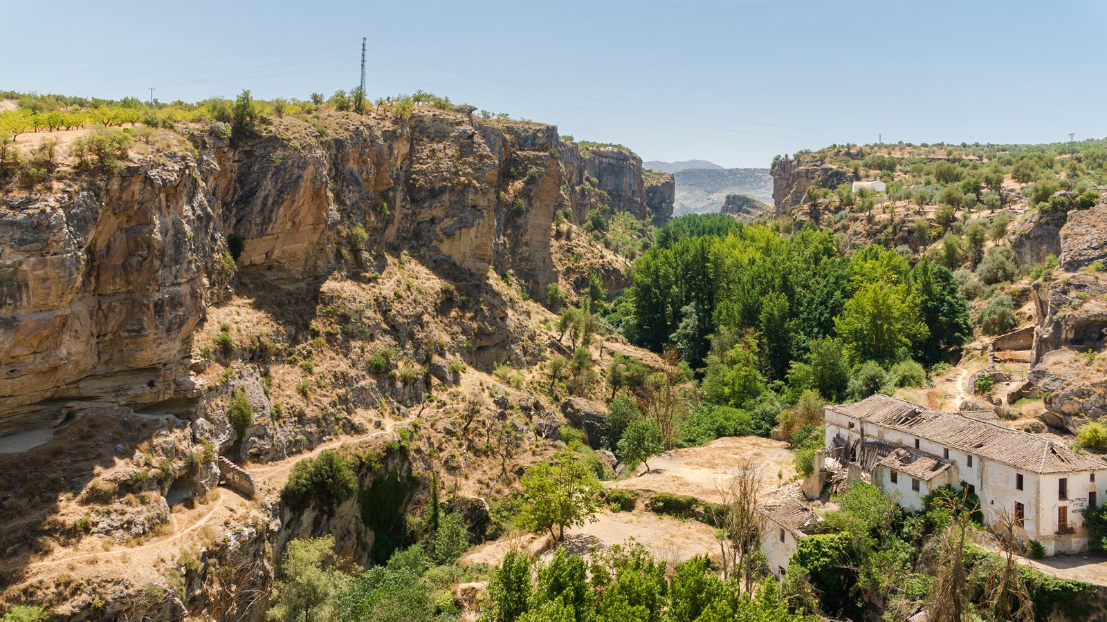 River gorge with green riparian trees below dry limestone cliffs