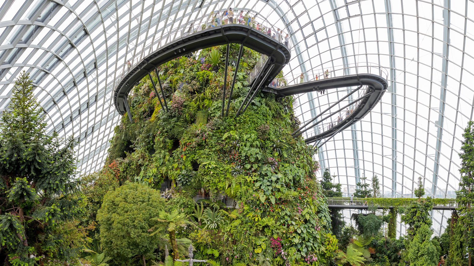 Interior planted mountain with hanging greenery