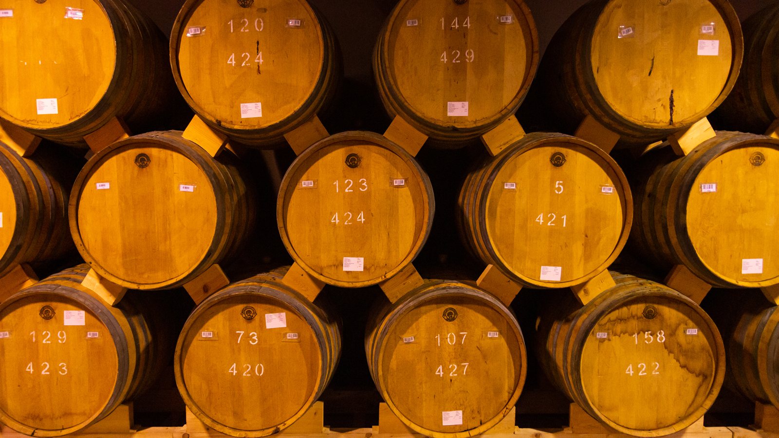 Rows of dark oak barrels ageing in a cellar