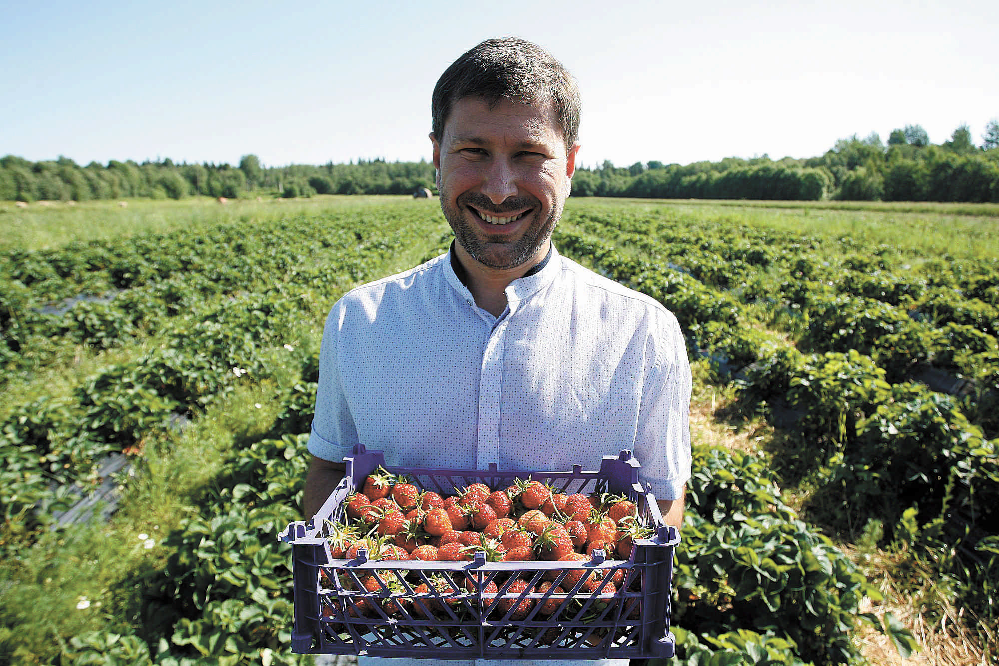 Organic crops growing in a sustainable farm field