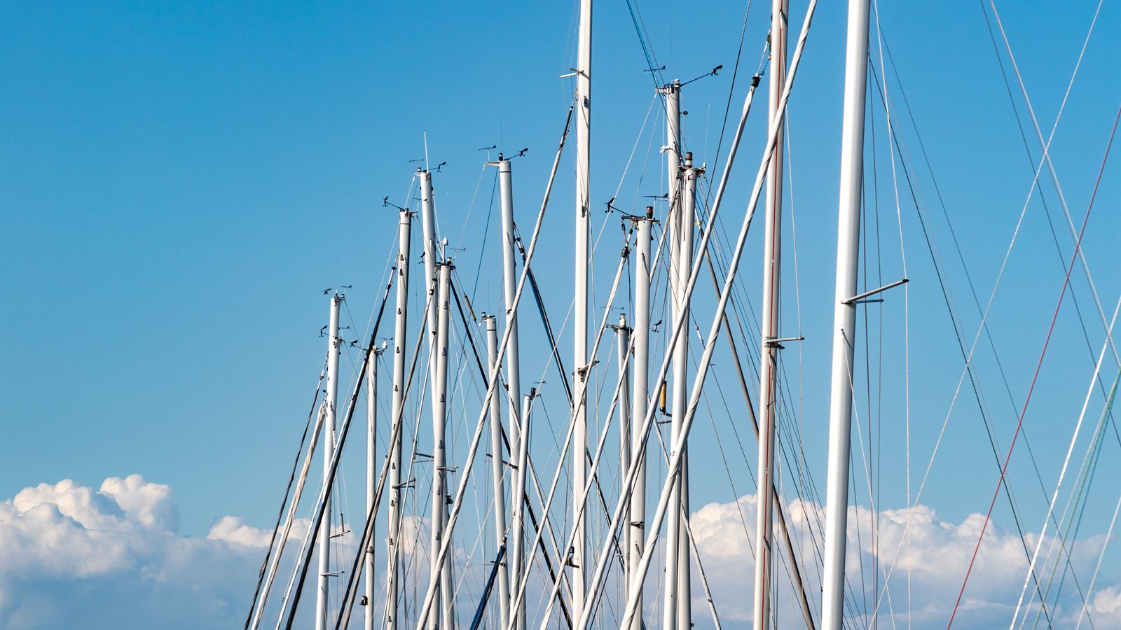 Yachts and motorboats moored along marina pontoons