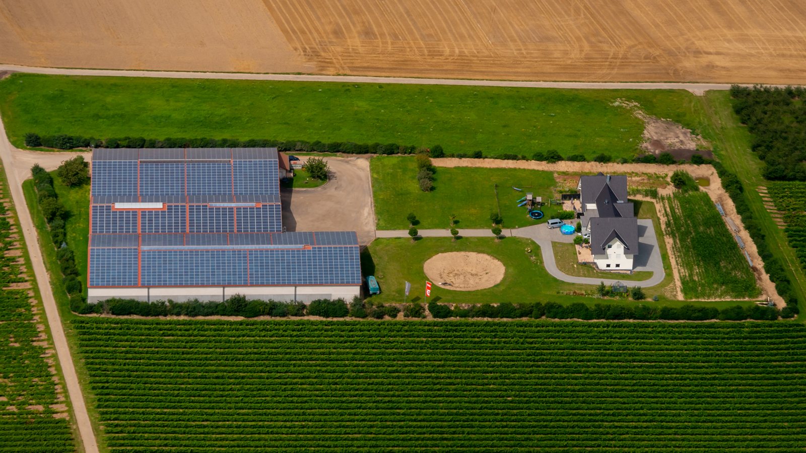Rows of solar panels in bright sunshine
