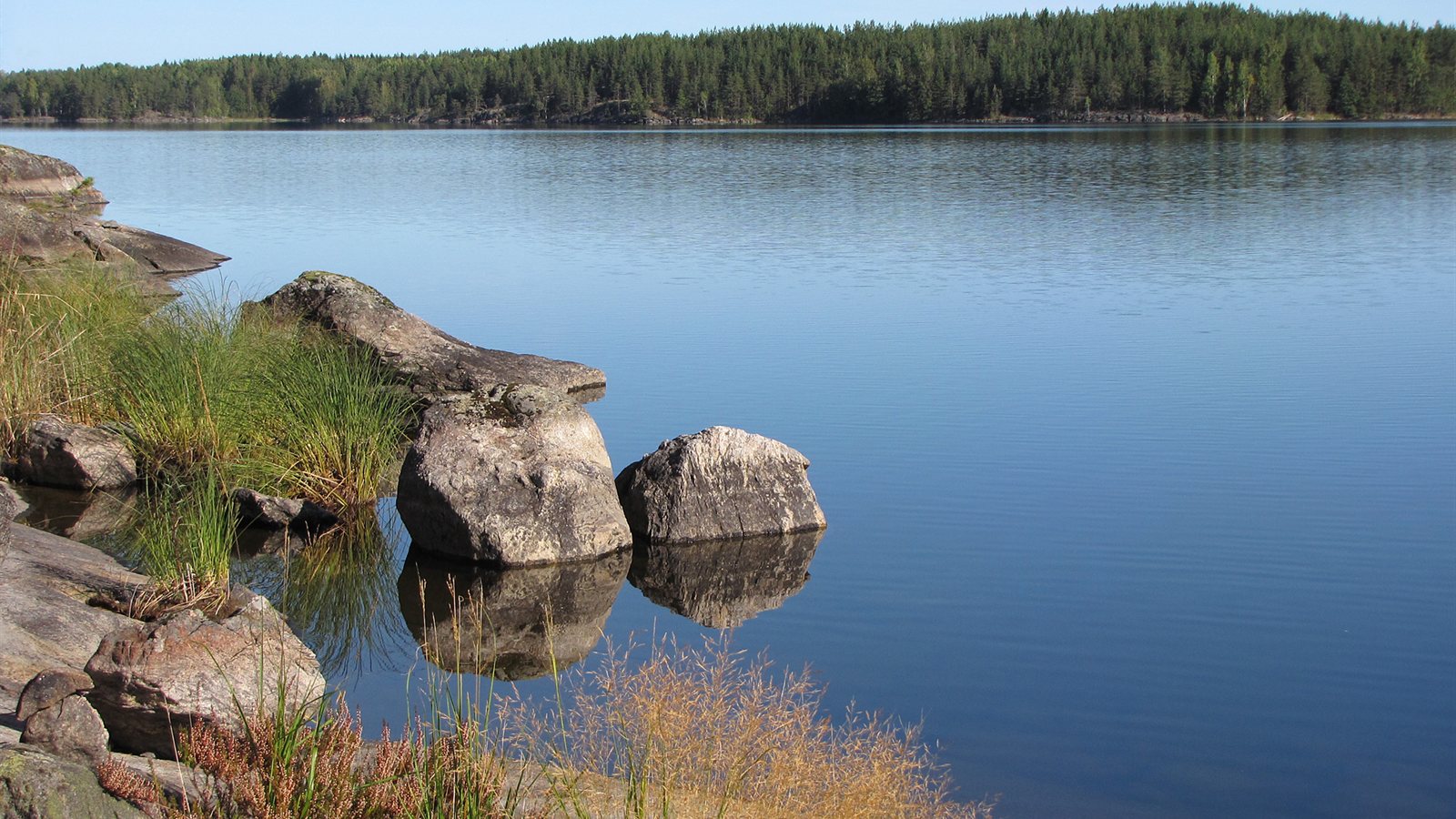 Rocky lake shoreline with clear water and pine trees