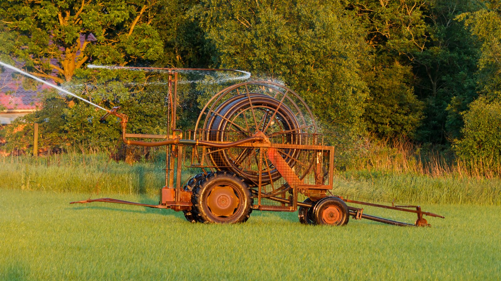 Travelling sprinkler irrigating a field