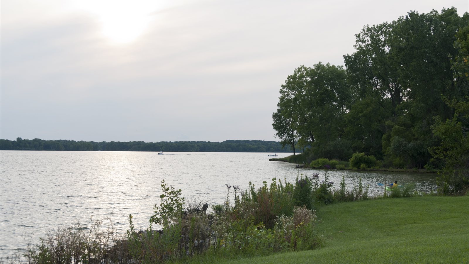 Calm backwater at dusk with a wooded bank and low sun