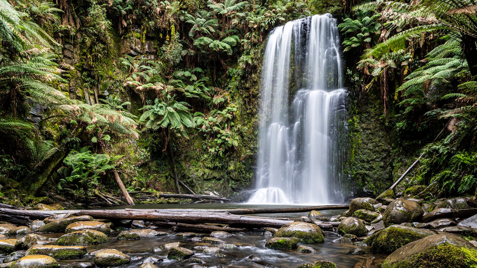 Waterfall dropping into a fern-covered gully in coastal rainforest