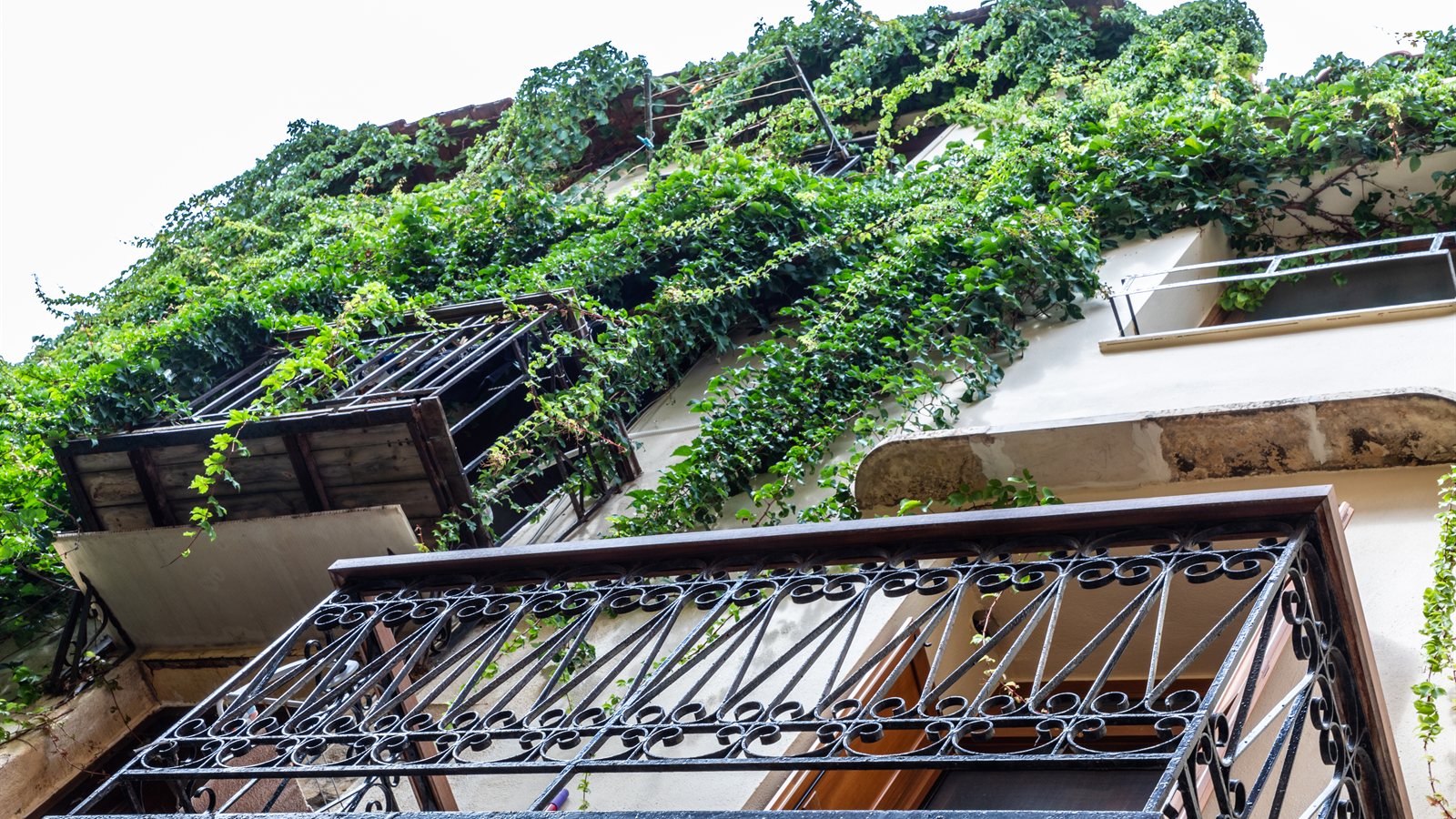 Wrought-iron balconies draped with climbing greenery