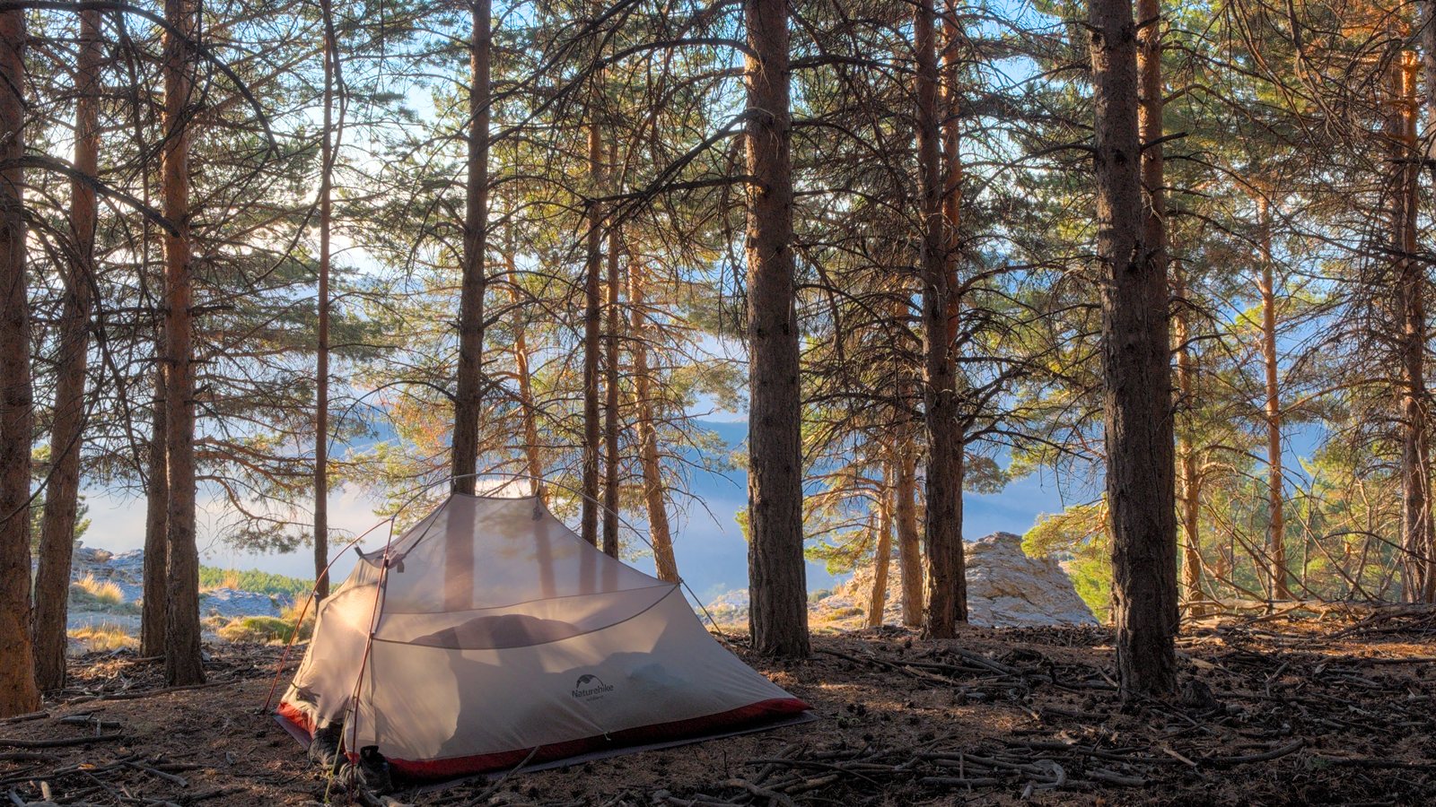 Small tent pitched among pines above a quiet shoreline