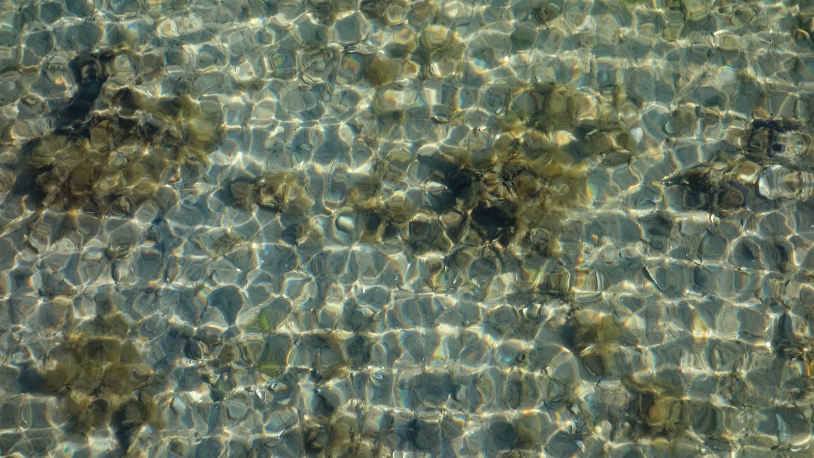 Sunlight refracting into underwater ripples