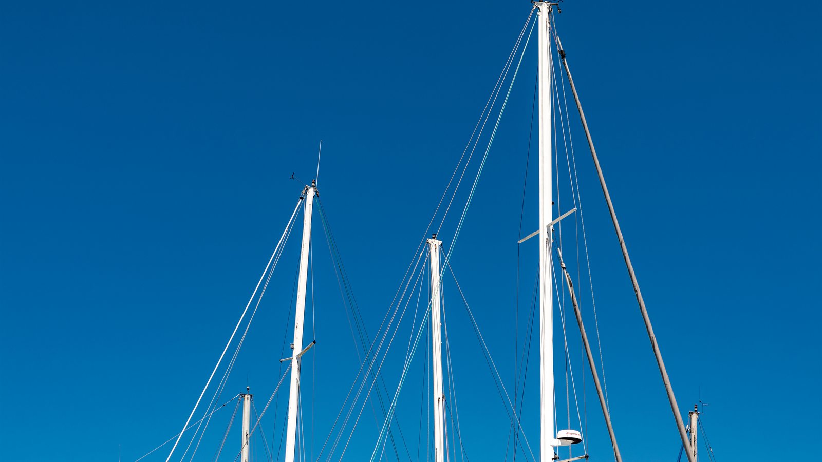 Forest of masts in a harbour against a clear sky