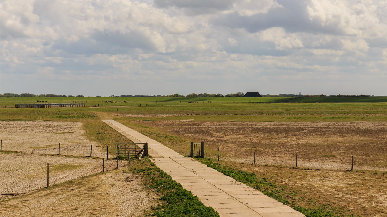 Gravel path running between grazing marsh and open water